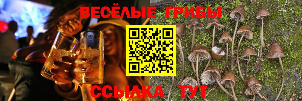Керчь  Галлюциногенные грибы GOLDEN TEACHER  Псилоцибиновые грибы GOLDEN TEACHER  Вход с VPN 