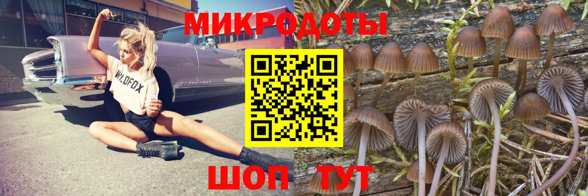 Галлюциногенные грибы Psilocybe Керчь